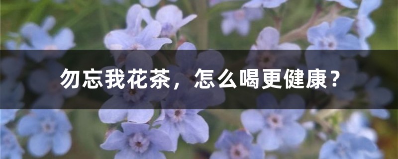 勿忘我花茶，怎么喝更健康？