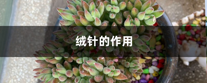 绒针的作用